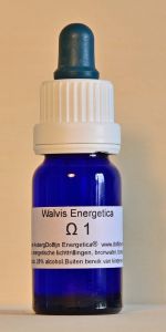 Walvis Energetica nr. 1