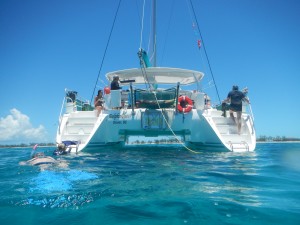 DolphinQuest Catamaran of WildQuest near Bimini DSCN2120