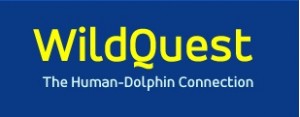 WildQuest logo