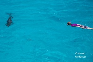 Mieke asks: do you wanna connect? WildQuest_W9_2015 120 c